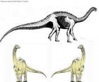 Zizhongosaurus, Zizhongozaur - prymitywny dinozaur z grupy zauropodów znaleziony w Chinach.