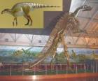 Zhuchengosaurus jest jednym z największych znanych hadrozaurów