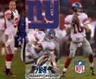 New York Giants NFC mistrz 2011