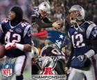 New England Patriots AFC mistrz 2011