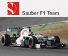 Sauber C31 - 2012 -