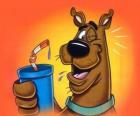 Scooby Doo przy drinku