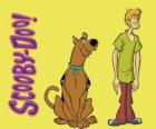 Scooby Doo i Shaggy, dwóch przyjaciół