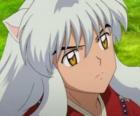 Inuyasha głowę z jego długie włosy