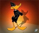 Kaczor Daffy w Looney Tunes