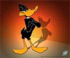 Kaczor Daffy w Looney Tunes