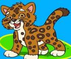 Mały Jaguar, dzieco jaguar jest najlepszym przyjacielem Diego