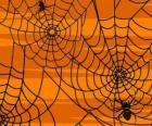 Halloween pająki