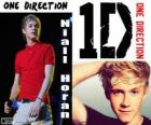 Niall Horan, One Direction