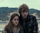 Hermiona Granger i Ron Weasle