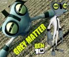 Szara Materia i Grey Matter, Ben 10