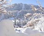 Ładne pełni śnieżny krajobraz