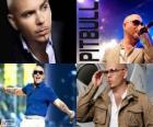 Pitbull (Armando Christian Perez), amerykański producent muzyczny pochodzenia kubańskiego