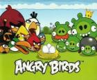 Ptaki, jaja i zielony świń w Angry Birds