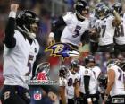 Baltimore Ravens mistrz AFC 2012