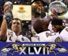 Baltimore Ravens Super Bowl 2013 Mistrzów