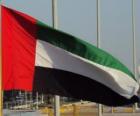 Flaga Zjednoczonych Emiratów Arabskich, Bliskim Wschodzie kraju
