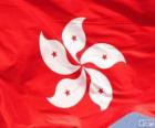 Flaga Hong Kong