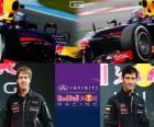 Infiniti Red Bull Racing 2013