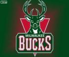 Logo Milwaukee Bucks, zespół NBA. Dywizja Centralna, Konferencja wschodnia