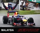 Sebastian Vettel świętuje swoje zwycięstwo w Grand Prix Malezji 2013