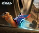 Turbo, najszybszy ślimak świata