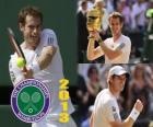 Andy Murray mistrz Wimbledonu 2013