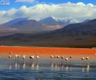 Laguna Colorada, Boliwia