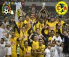 Club America, mistrz turnieju Clausura 2013, Meksyk