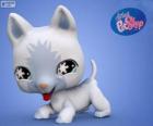 Kot z Littlest PetShop