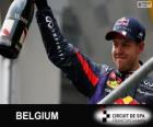 Sebastian Vettel świętuje swoje zwycięstwo w Grand Prix Belgii 2013
