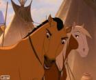 Mustang i Rosa w miejscowości Lakota