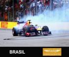 Sebastian Vettel świętuje swoje zwycięstwo w Grand Prix Brazylii 2013
