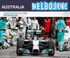 Nico Rosberg świętuje swoje zwycięstwo w Grand Prix Australii w 2014 roku