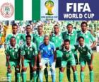 Wybór Nigerii, Grupa F, Brazylia 2014