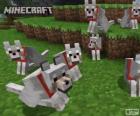 Wilki Minecraft