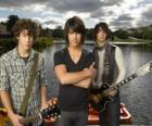 Bracia Grey, Camp Rock