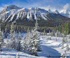 Zdjęcie zimowe Crowfoot Mountain, w Park Narodowy Banf w prowincji Alberta, Kanada