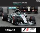 Rosberg G.P. Kanady 2015