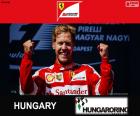 Sebastian Vettel świętuje swoje zwycięstwo w Grand Prix Węgier 2015