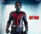 Ant-Man jest głównym bohaterem filmu. Kostium przekształca go Ant-Man