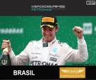 Rosberg Grand Prix Brazylii 2015