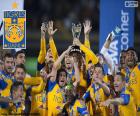 Tigres UANL, mistrz Meksyku 2015