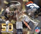 Denver Broncos, mistrzów Super Bowl 2015 po wygraniu 24-10 Carolina Panthers