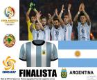 ARG finalista, Copa America 2016