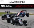 Fernando Alonso, siódme w Grand Prix Malezji 2016, z jego McLaren
