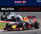 Max Verstappen, drugi w Grand Prix Malezji 2016 z jego Red Bull, piąty podium kariery w F1