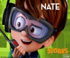 Nate, Bociany