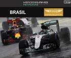 Nico Rosberg, Grand Prix Brazylii 2016