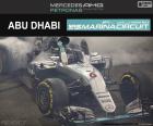 Nico Rosberg, Grand Prix Abu Zabi 2016